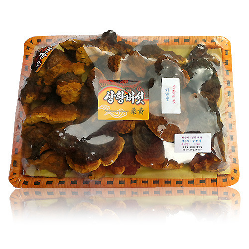 국내산 갈색 상황버섯 500g