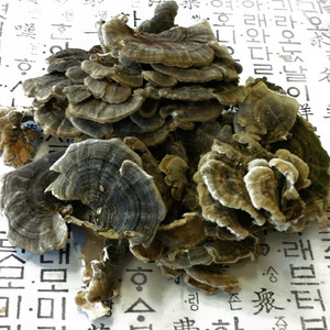 국내산 운지버섯 300g 구름버섯