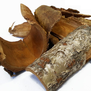 국내산 마가나무껍질 300g 마가목껍질 정공피 정공등