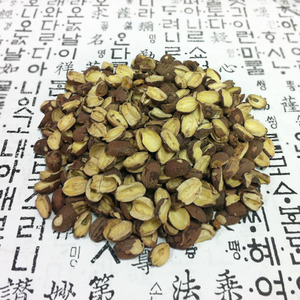 베트남산 연자육 600g 연자 연밥 연꽃씨 연씨